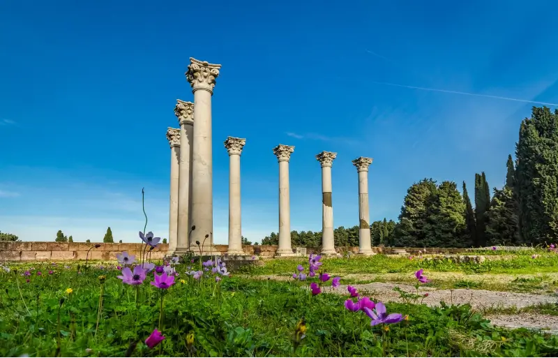 Things to see and do in Kos