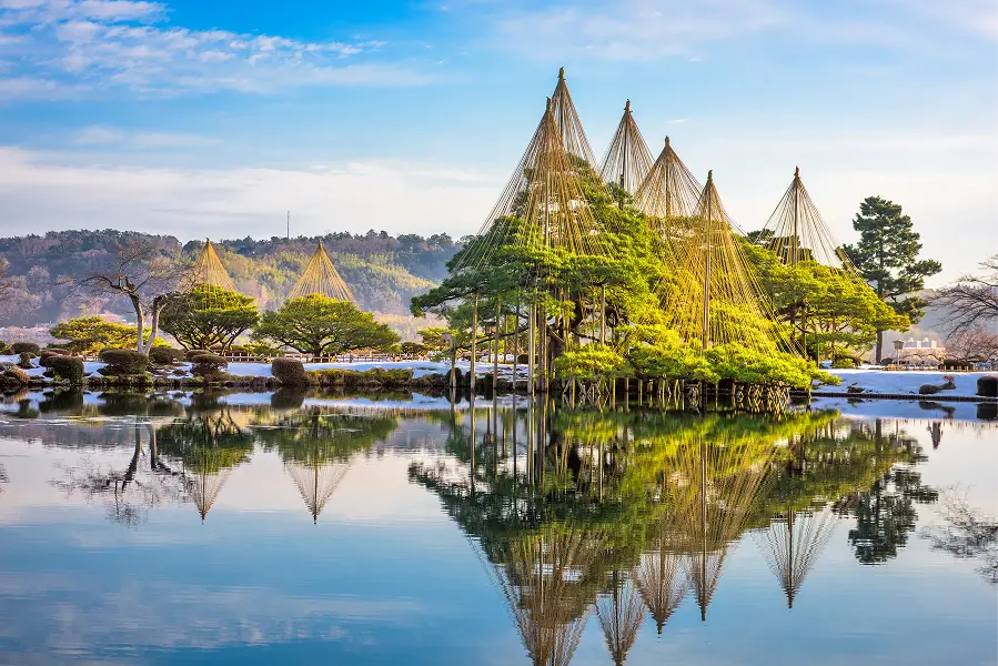 Lose Yourself in Japanese Culture