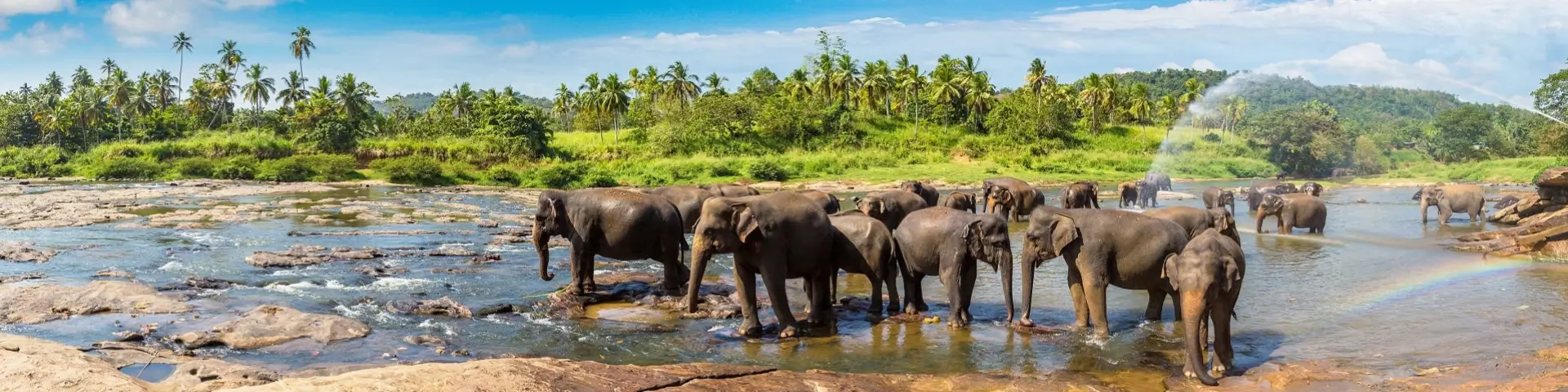 Sri Lanka Holidays