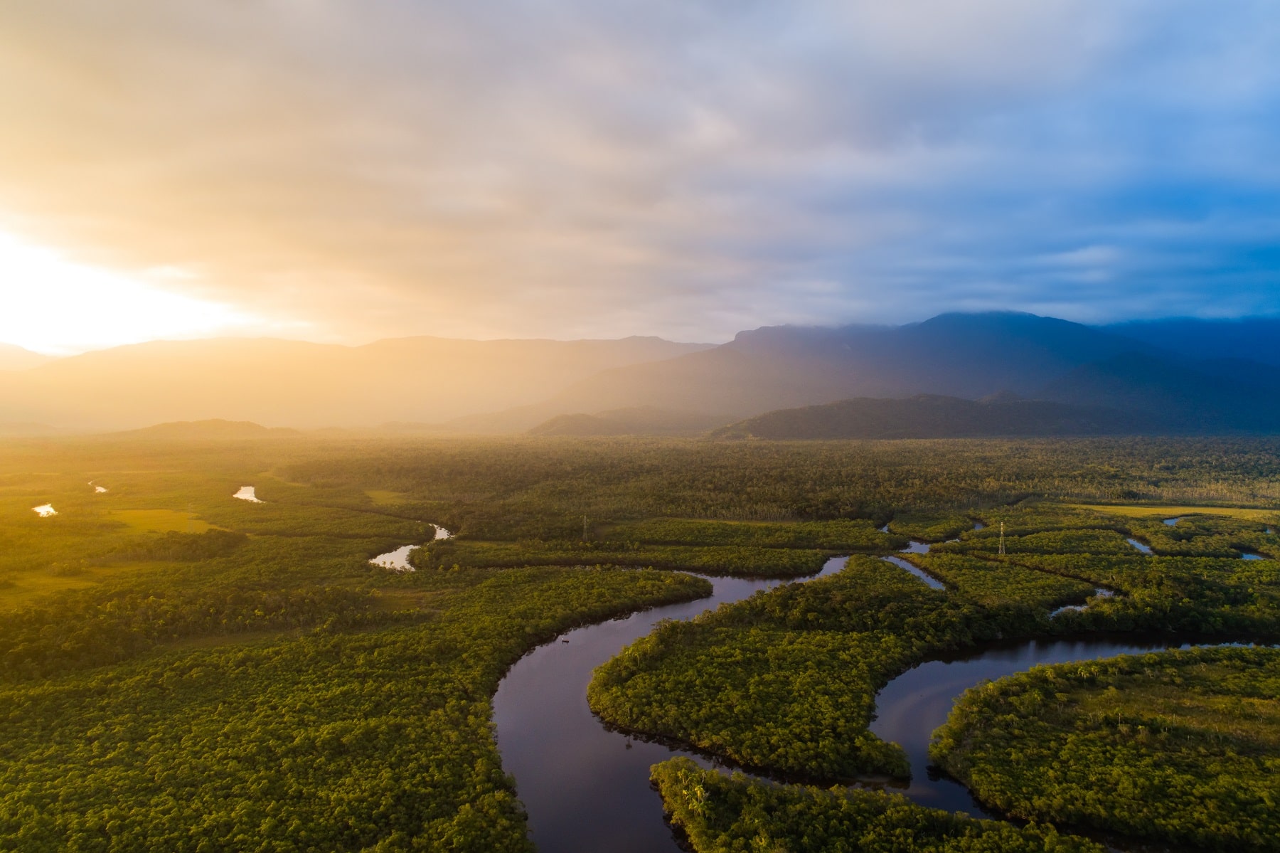 Explore the Amazon Rainforest
