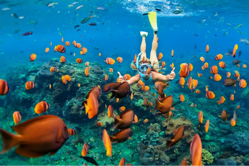 Dive into the Abyss