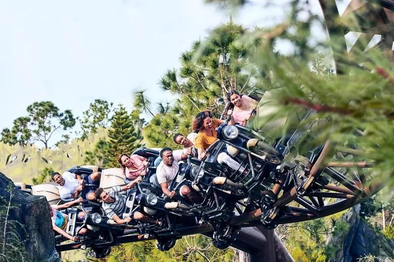 Take flight into the Forbidden Forest