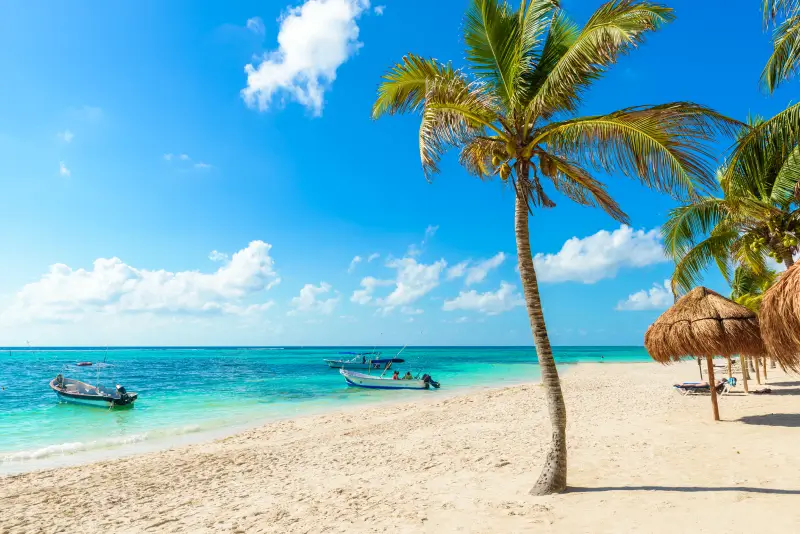 Captivating Caribbean Coastlines