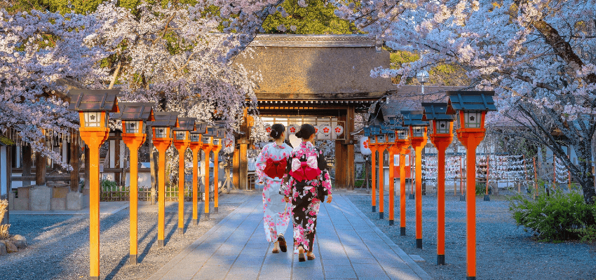 Top 5 Best Spots to See Cherry Blossoms in Japan